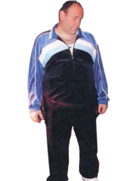 Stylish The Sopranos Tracksuit outfit