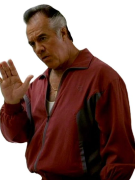 Paulie Walnuts Tracksuit