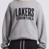 Front view of Los Angeles Lakers Essentials Hoodie. Unisex grey fleece with 3D logo and yellow contrast hood.
