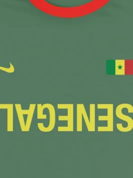 CJ X Nike Senegal Total 90 Tee front Closeup View