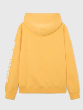 FIFA World Cup 2026 Boston Hoodie Back View
