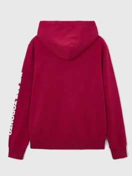 FIFA World Cup 2026 Toronto Hoodie Back View